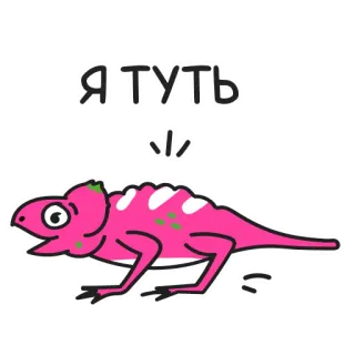 🐥 Я ТУТ 도마뱀, 동물, 만화, 분홍색, 귀여운, 카멜레온 telegram sticker