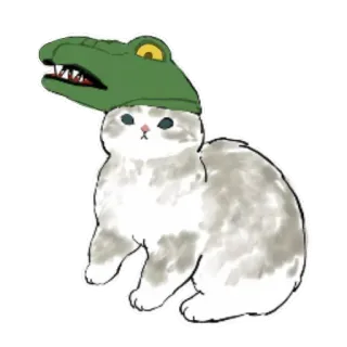 👹 gato, animal, sombrero, caimán, lindo, mascota, gracioso whatsapp sticker