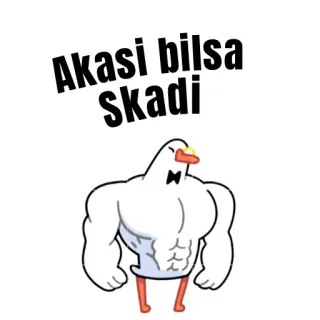 😫 Akasi bilsa skadi oie, mème, musclé, oiseau, dessin animé whatsapp sticker