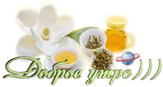 ☀️ Доброе утро ))) good morning, tea, flower, magnolia, breakfast telegram sticker