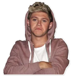 😞 Niall Horan Niall Horan, chanteur, célébrité, One Direction, pop star, musique telegram sticker