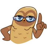 ☝️ búho, dibujos animados, gafas, animado telegram sticker