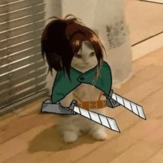 🐈 Attack on Titan gato, Ataque dos Titãs, Anime, Cosplay, Fofo, Engraçado, Mangá, Animal telegram sticker