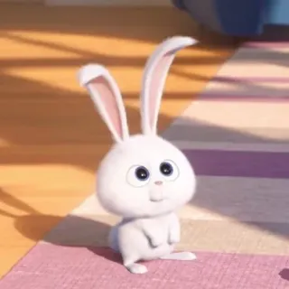 🥺 Snowball The Secret Life of Pets conejo, conejito, lindo, bonito, blanco, animal, mascota whatsapp sticker