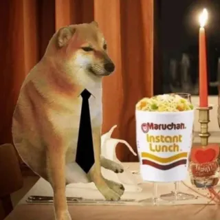 🐕 Maruchan Instant Lunch doge, dog, meme, maruchan, ramen, instant lunch, funny telegram sticker