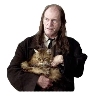 😼 Argus Filch Harry Potter Аргус Филч, Гарри Поттер, кот, Миссис Норрис telegram sticker