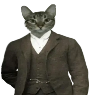 👨‍⚖️ 고양이, 정장, 의인화, 동물, 옷, 빈티지 telegram sticker