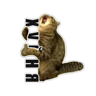 👍 ВНИХ whatsapp sticker