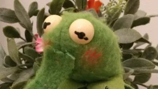 😳 frog, puppet, green, stuffed animal, toy telegram sticker