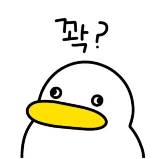 💬 꽉? 鸭子, 卡通, 问题, 动物, 可爱 telegram sticker