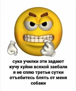 😤 сука училки эти задают
кучу хуйни всякой заебали
я не сплю третьи сутки
отъебитесь блять от меня
собаки emoji, angry, russian, swear words telegram sticker