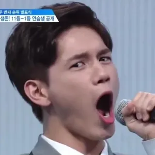 🎤 telegram sticker