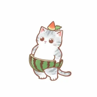 🐱 chat, pastèque, mignon, animal, kawaii, autocollant telegram sticker