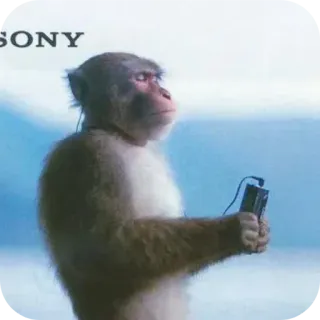 🧔 Sony commercial SONY whatsapp sticker