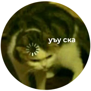 🤬 уъу ска kat, meme, laden, wachten, schattig whatsapp sticker