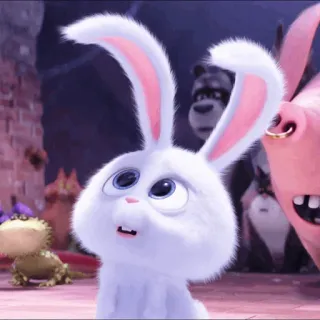 🏳 Snowball The Secret Life of Pets cartoon, rabbit, bunny, animal, pet, character, Snowball, The Secret Life of Pets telegram sticker