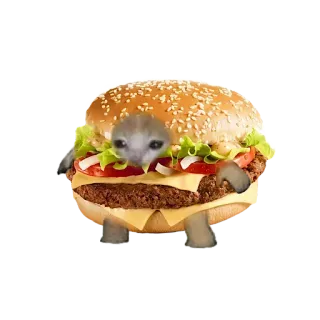 ❤️ cat, burger, animal, sandwich, meme, funny telegram sticker