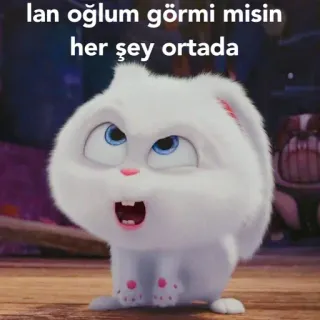 😤 lan oğlum görmi misin
her şey ortada 토끼, 눈덩이, 귀여운, 동물, 폭신한, 하얀, 만화 토끼 whatsapp sticker