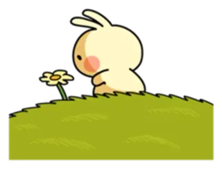 😔 conejo, flor, lindo, césped, primavera, naturaleza telegram sticker