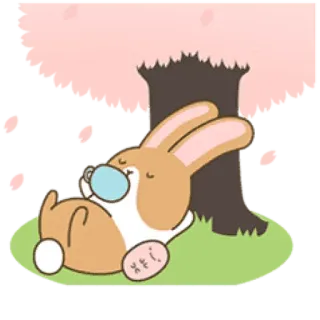 ☕️ bunny, rabbit, sleeping, cute, cartoon, kawaii, animal telegram sticker