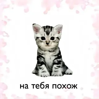 ❤️ на тебя похож telegram sticker