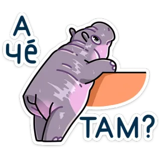 🫣 А чё там? hipopotam, słodki, zwierzę, kreskówka telegram sticker