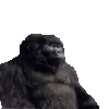 trends ➜ @emoji1 telegram emojis 🦍