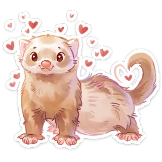 ⭐ furão, animal, fofo, coração, amor, animal de estimação telegram sticker