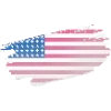 🇺🇸