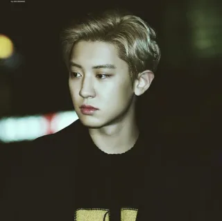 🗼 uomo, ritratto, k-pop, exo, chanyeol, celebrità telegram sticker