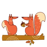 🌰 Eichhörnchen, Tier, süß, Cartoon telegram sticker