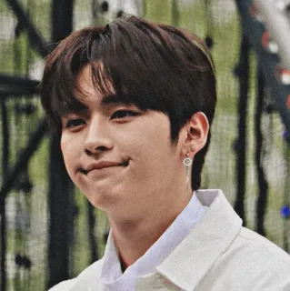🥀 kpop, idola, orang, pria, potret, wajah telegram sticker
