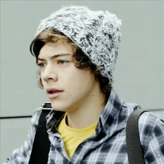 🍩 Harry Styles Harry Styles, singer, celebrity, musician, pop star telegram sticker