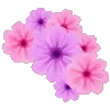 🌸