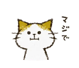 😐 マジで kot, zwierzę, słodki, japoński, tekst, naklejka telegram sticker