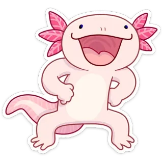 ☺️ Axolotl, Aufkleber, Tier, süß, Cartoon telegram sticker