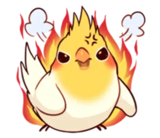 😡 นกค็อกคาเทล, โกรธ, นก, ไฟ, การ์ตูน, ลุกเป็นไฟ, น่ารัก, สีหน้า telegram sticker