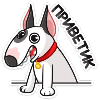 👋 ПРИВЕТИК chien, animal, salutation, russe, mignon, dessin animé, amical whatsapp sticker
