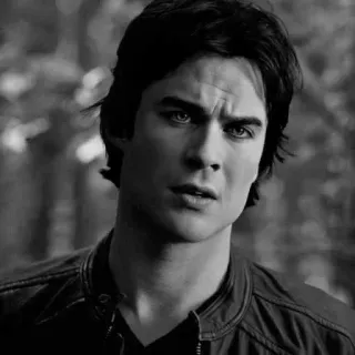 ▪️ Damon Salvatore The Vampire Diaries mężczyzna, wampir, pamiętniki wampirów, damon salvatore, ian somerhalder, portret, serial telegram sticker