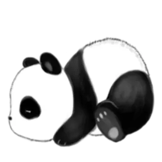 😴 panda, dormire, carino, animale, pigro telegram sticker