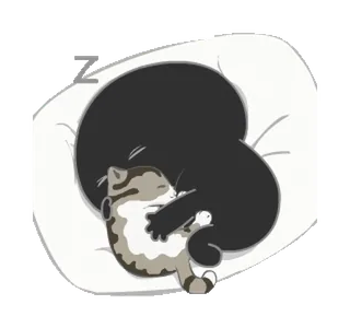 💤 Katze, Kätzchen, schlafend, süß, Tiere, Haustier, Gemütlichkeit telegram sticker