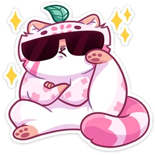 😎 kot, fajne, okulary przeciwsłoneczne, zwierzę, naklejka, słodki, kreskówka, kawaii whatsapp sticker