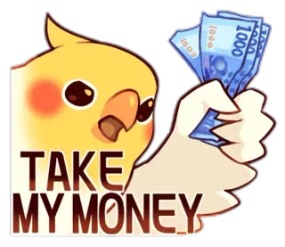 💰 TAKE MY MONEY pássaro, calopsita, dinheiro, dinheiro vivo, desenho animado, fofo, engraçado telegram sticker