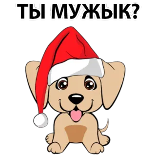😕 ТЫ МУЖЫК? dog, christmas, santa hat, cartoon, question, male telegram sticker