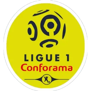 🇫🇷 LIGUE 1
Conforama soccer, football, league, sports, france whatsapp sticker