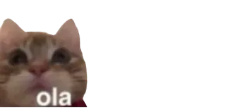 😶 ola cat, greeting, meme, funny telegram sticker