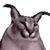 😺