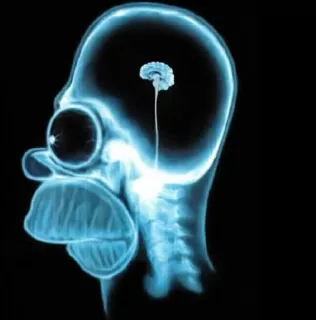 Brain Meme whatsapp stickers