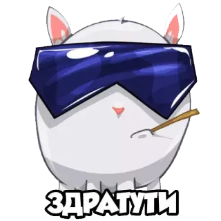 🙋 ЗДРАТУТИ lời chào, thỏ, kính râm, hoạt hình, dễ thương, động vật telegram sticker