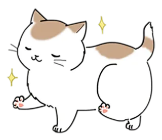 😻 gatto, carino, animale domestico, animale, adesivo telegram sticker